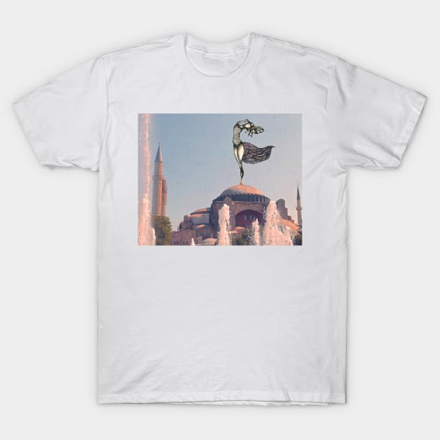 A Dance With Minarets T-Shirt by ZBoy